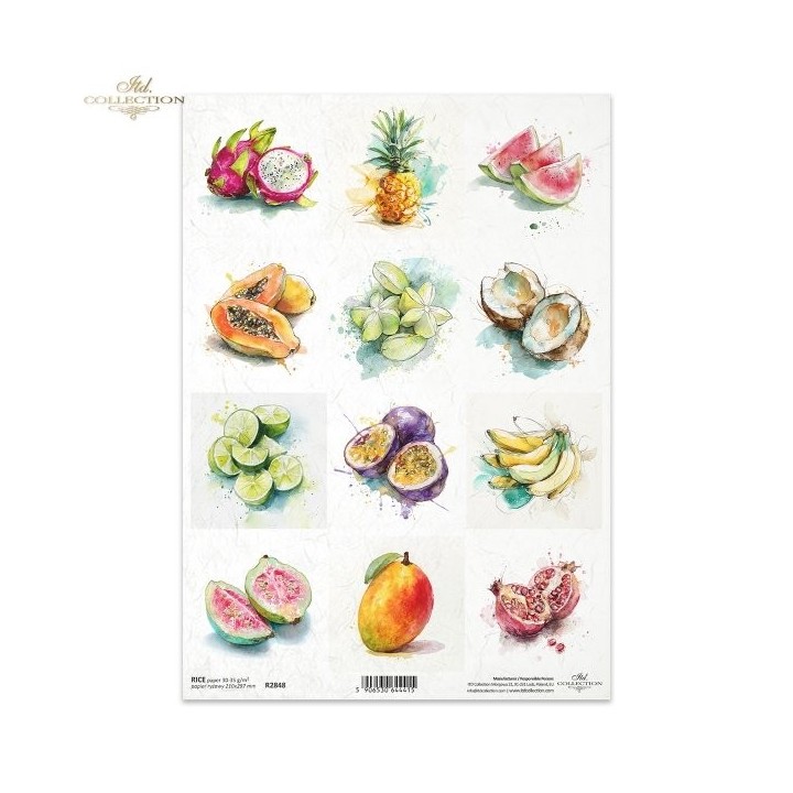 Rijstpapier R2848 Tropical Dreams