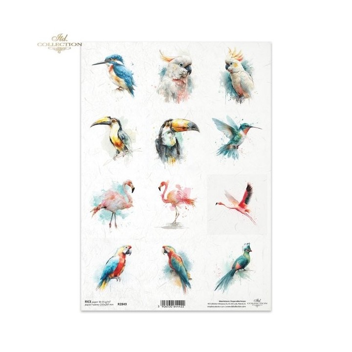 Rijstpapier R2849 Tropical Dreams