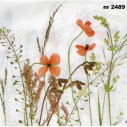 Wild meadow 33x33cm servet