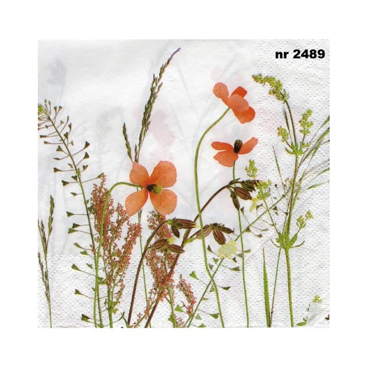 Wild meadow 33x33cm servet