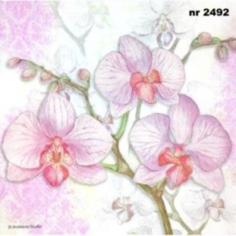 Orchid lilac 33x33cm servet