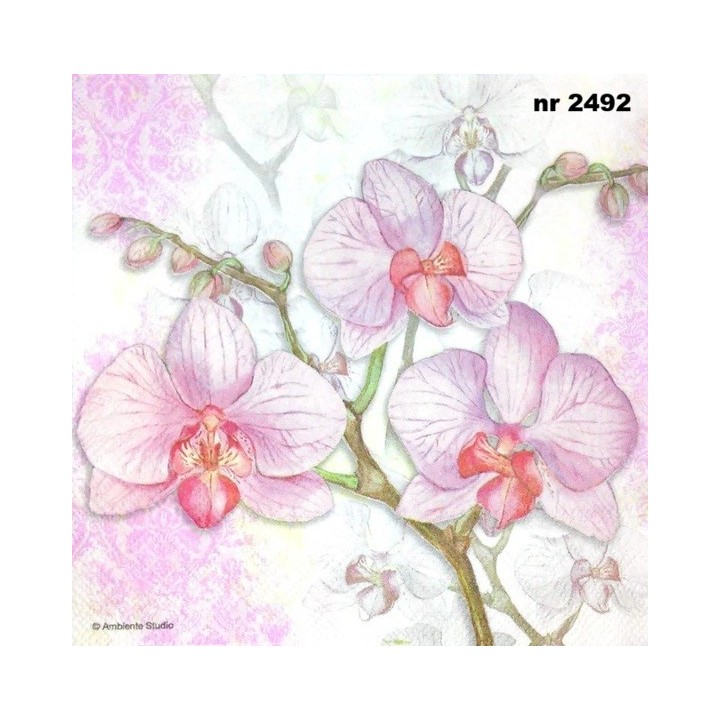 Orchid lilac 33x33cm servet