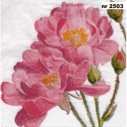 Romance new 33x33cm servet