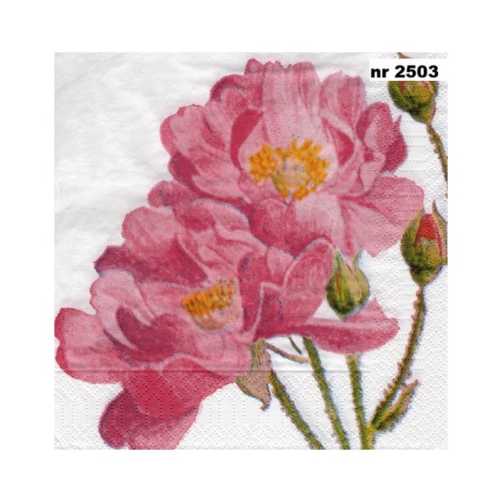 Romance new 33x33cm servet
