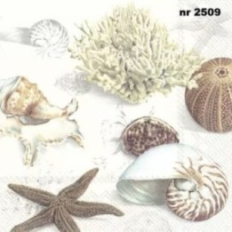Clams at the beach cream 33x33cm servet
