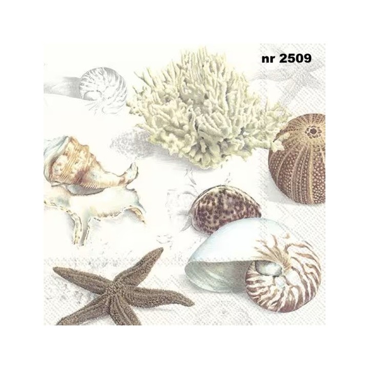Clams at the beach cream 33x33cm servet