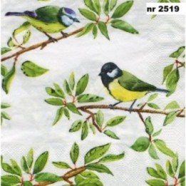 Birds on branches 33x33cm servet