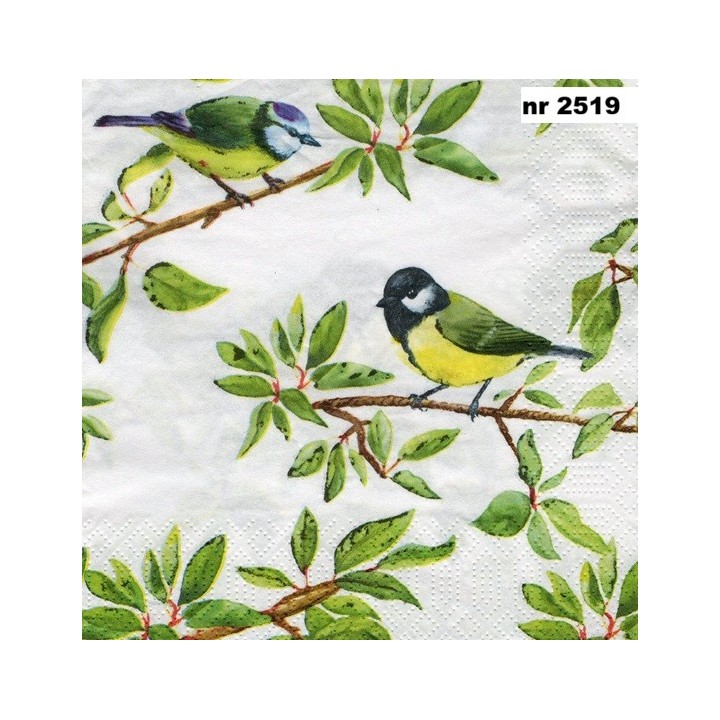 Birds on branches 33x33cm servet