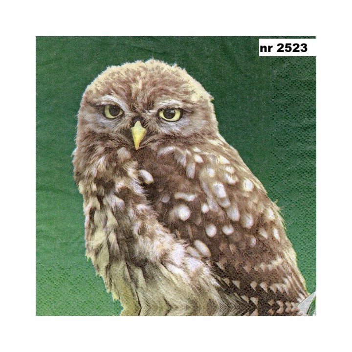 Steenuil in groen 33x33cm servet