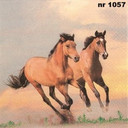 Wild horses servet 33x33cm