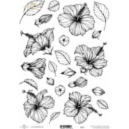 Kristalheldere folie F019