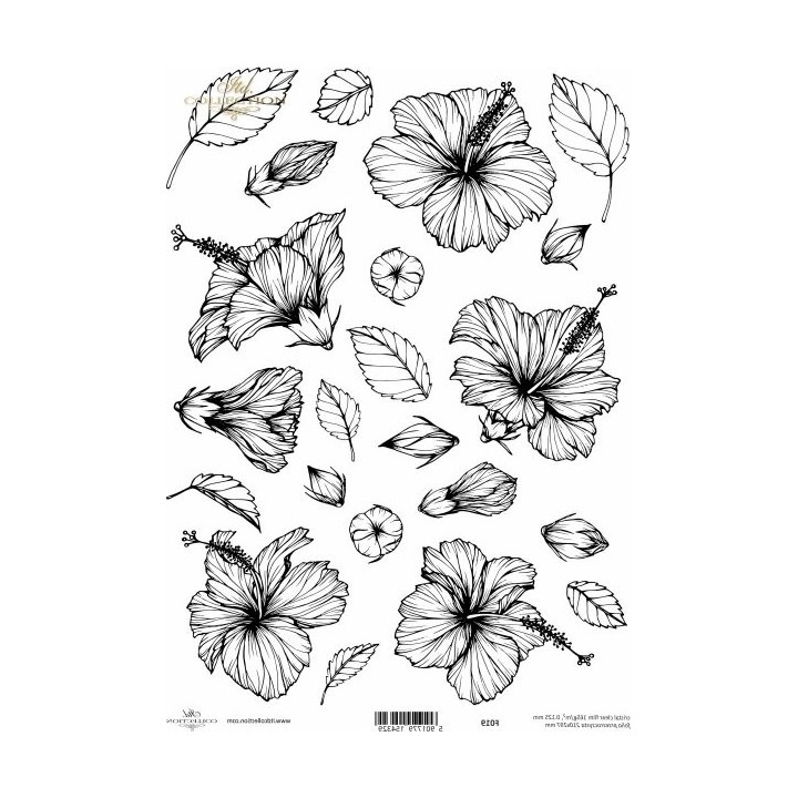 Kristalheldere folie F019