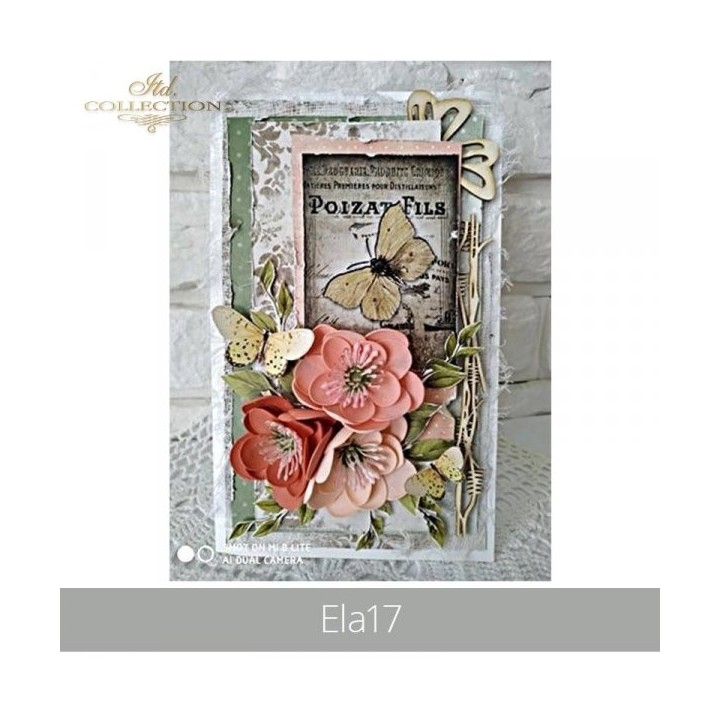  frames voor scrapbooking TAG0045