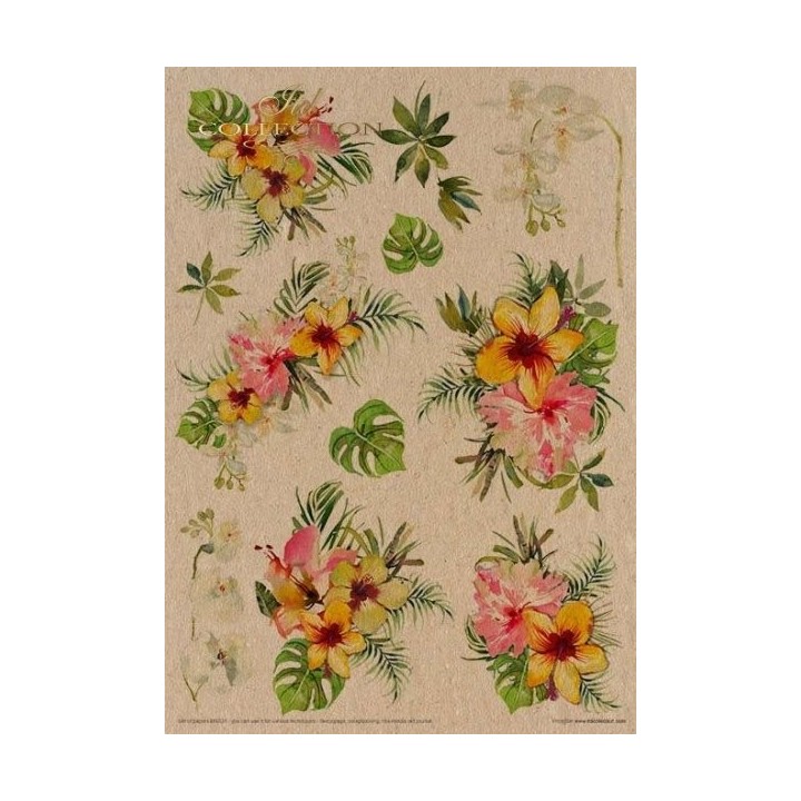Creatieve set MS031 Tropische dromen