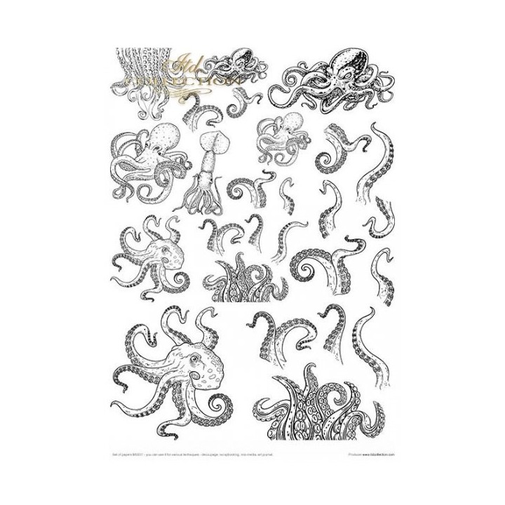 Creatieve set MS031 Tropische dromen