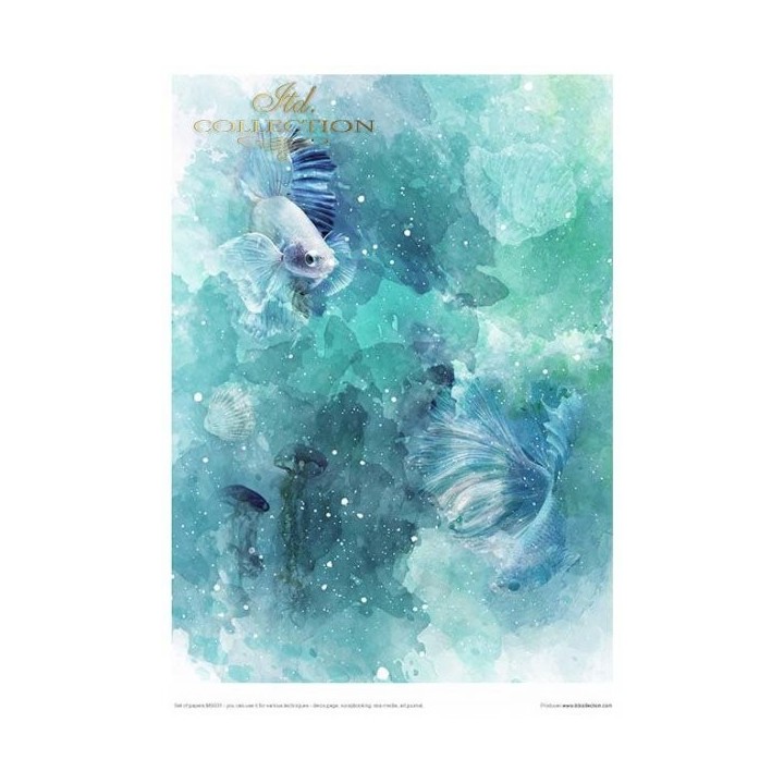 Creatieve set MS031 Tropische dromen