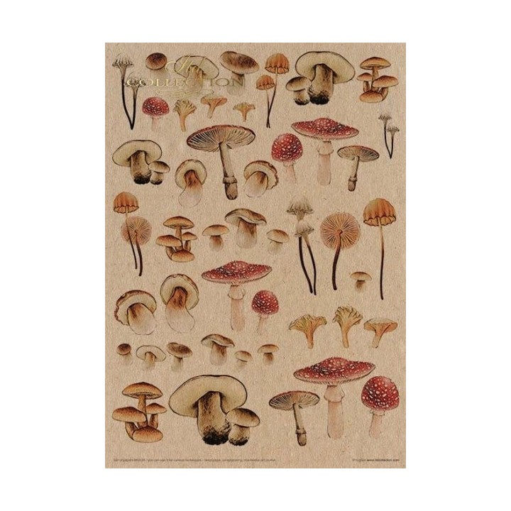 Creatieve set MS039 Mysterieus bos