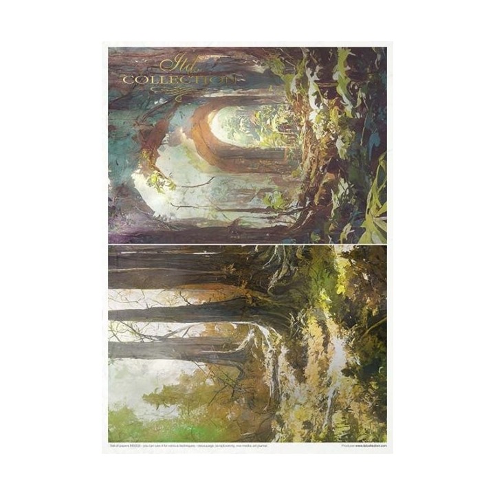 Creatieve set MS039 Mysterieus bos