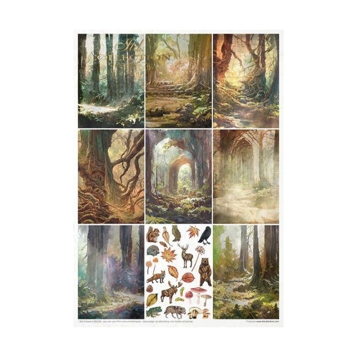 Creatieve set MS039 Mysterieus bos