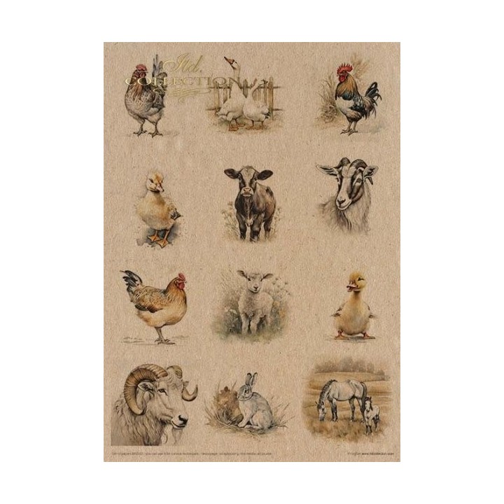 Creatieve set MS042 Vroege lente