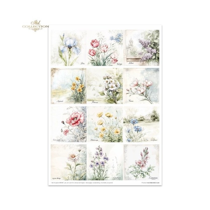 Creatieve set MS048 Bloemen Shabby Chic
