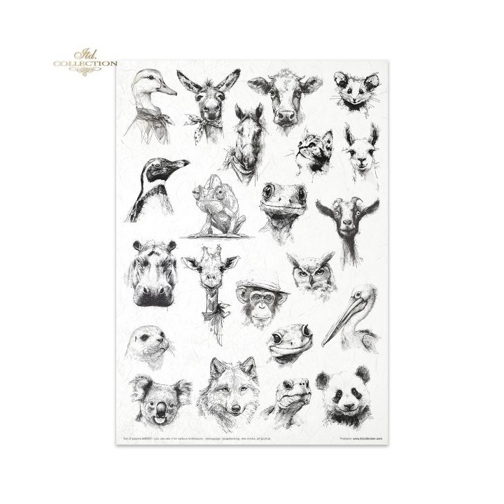 Creatieve set MS053 Gekke dieren