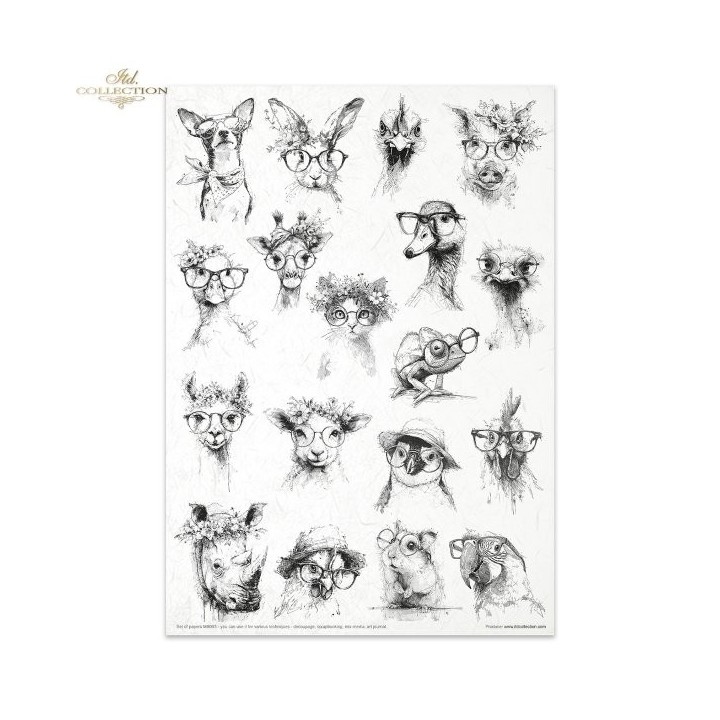 Creatieve set MS053 Gekke dieren
