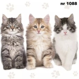 Three beautiful cats servet 33x33cm