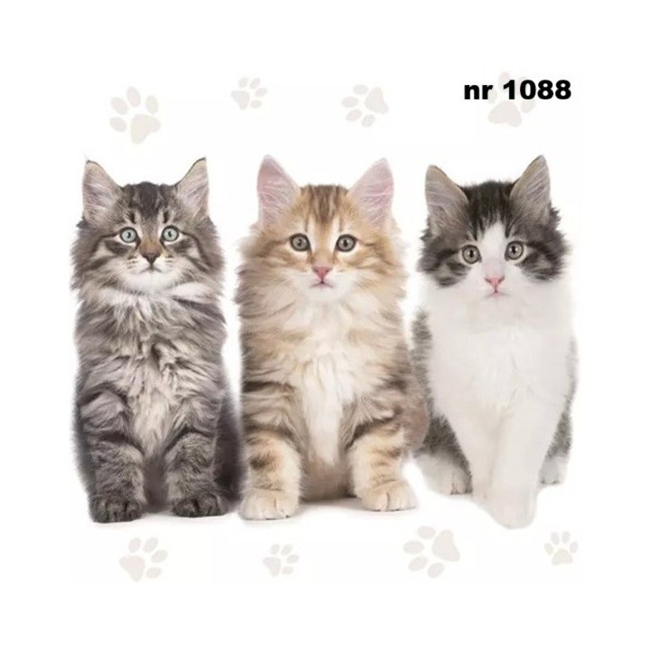 Three beautiful cats servet 33x33cm