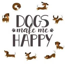 Dog Happy servet 33x33cm