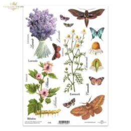 Kristalheldere folie F132