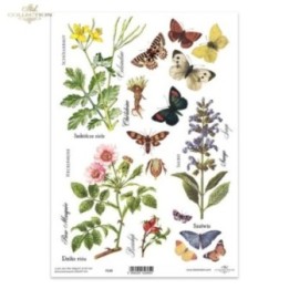 Kristalheldere folie F133