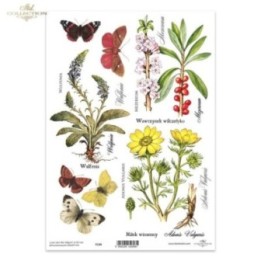 Kristalheldere folie F134