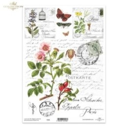 Kristalheldere folie F141