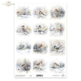 Kristalheldere folie F174