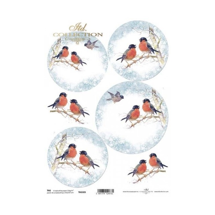 Karton voor kerstballen TAG0103