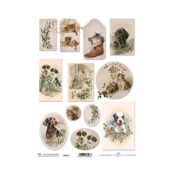  frames voor scrapbooking TAG0133