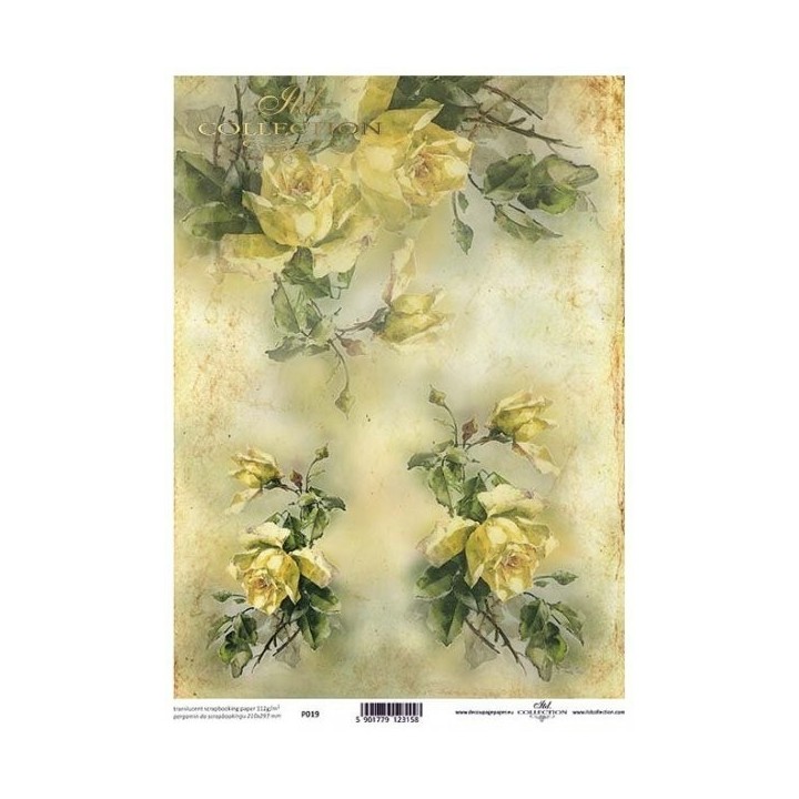 Translucent scrapbookingpapier P0019