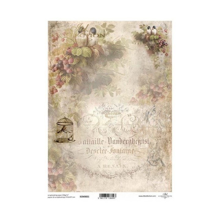scrapbookpapier SSCM0021