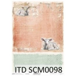 scrapbookpapier SSCM0098