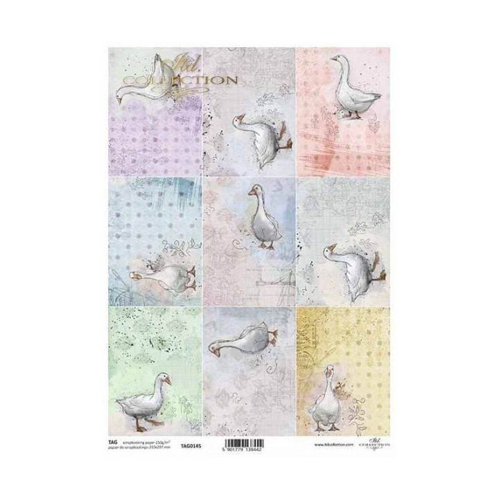  frames voor scrapbooking TAG0145