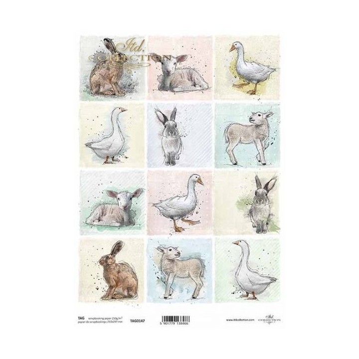  frames voor scrapbooking TAG0147
