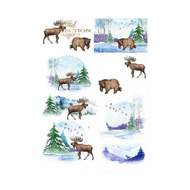 Scrapbookingpapier SCRAP-018 ''Winterdieren''