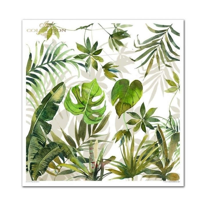 Scrapbookingpapier SLS-010 ''Tropische dromen''