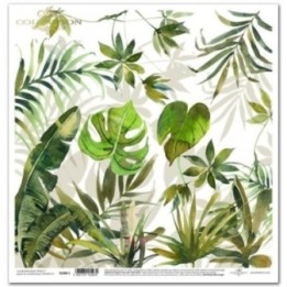 scrapbookpapier SL0686