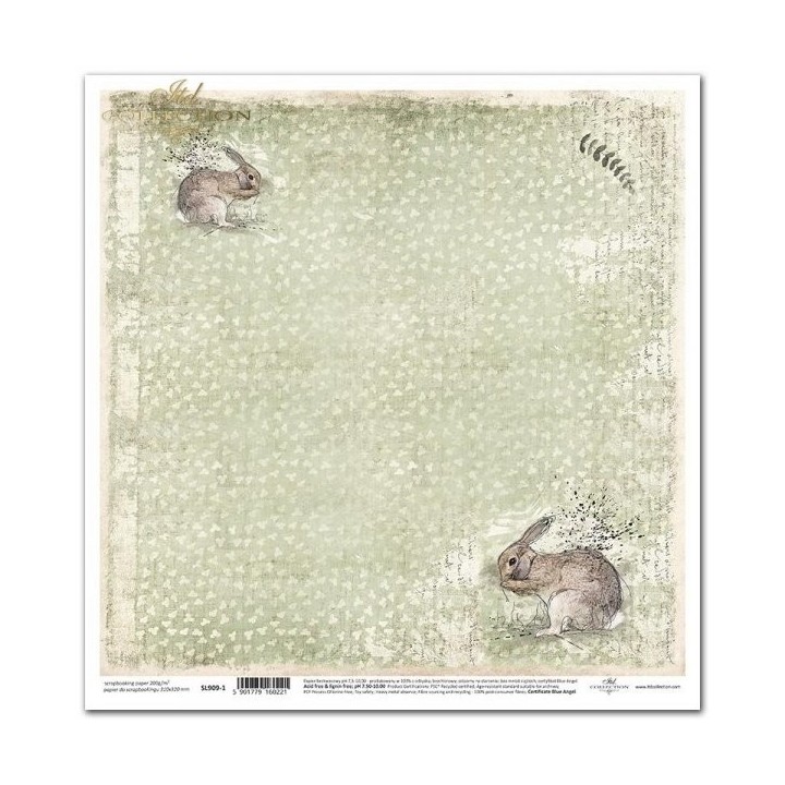 scrapbookpapier SL0909
