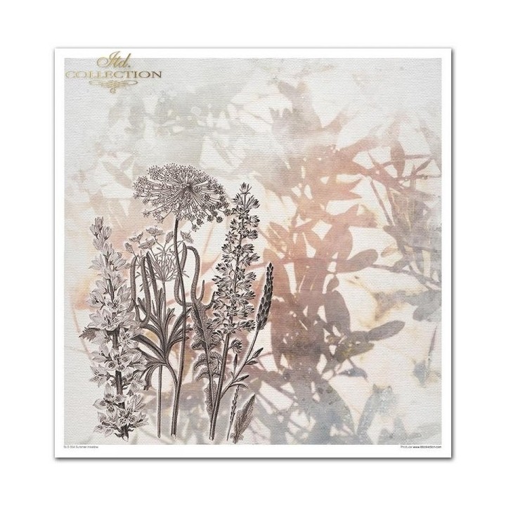 Scrapbookingpapier SLS-034 ''Zomerweide''