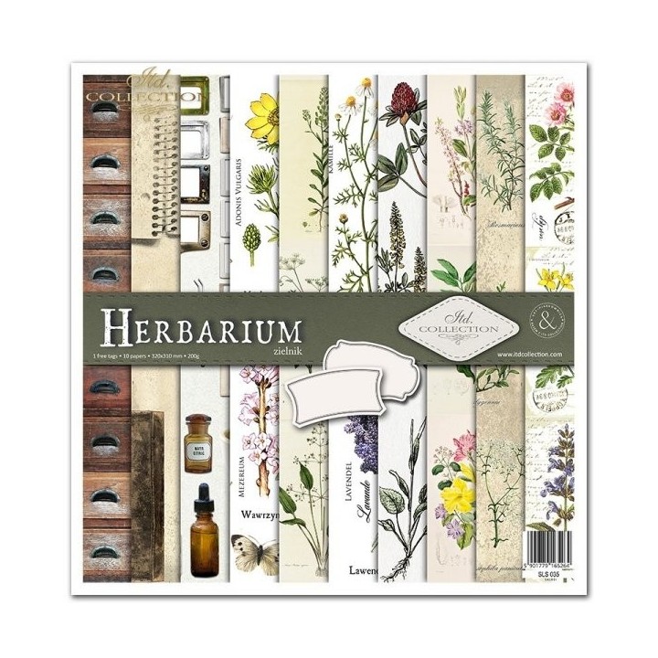 Scrapbookingpapier SLS-035 ''Herbarium''