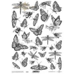 Translucent scrapbookingpapier P0097