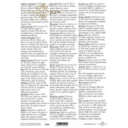 Translucent scrapbookpapier P0098